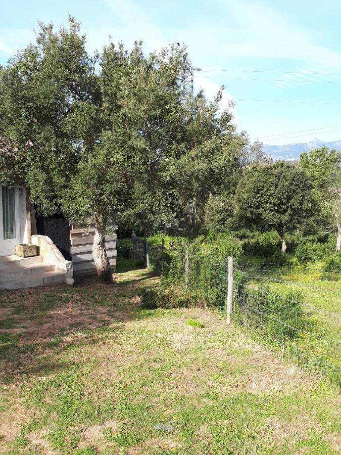 Casa Gattu Villa Porto-Vecchio  Eksteriør billede