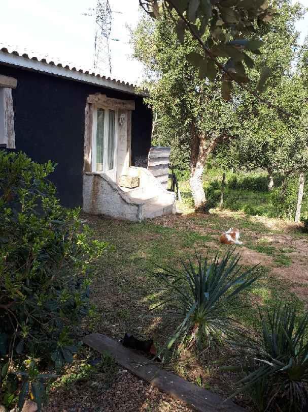 Casa Gattu Villa Porto-Vecchio  Eksteriør billede